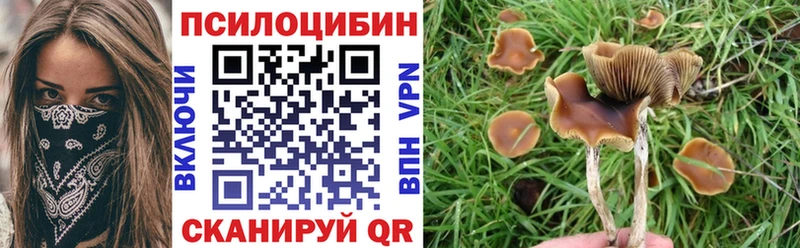 дарнет шоп Бирюч Галлюциногенные грибы мицелий